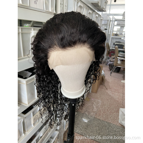 Raw Lace Front Wig Lace Wig Cuticle Aligned Hair Lace Closure Wig Water Wave Free Samples Raw Brazilian 30 inch Long Length